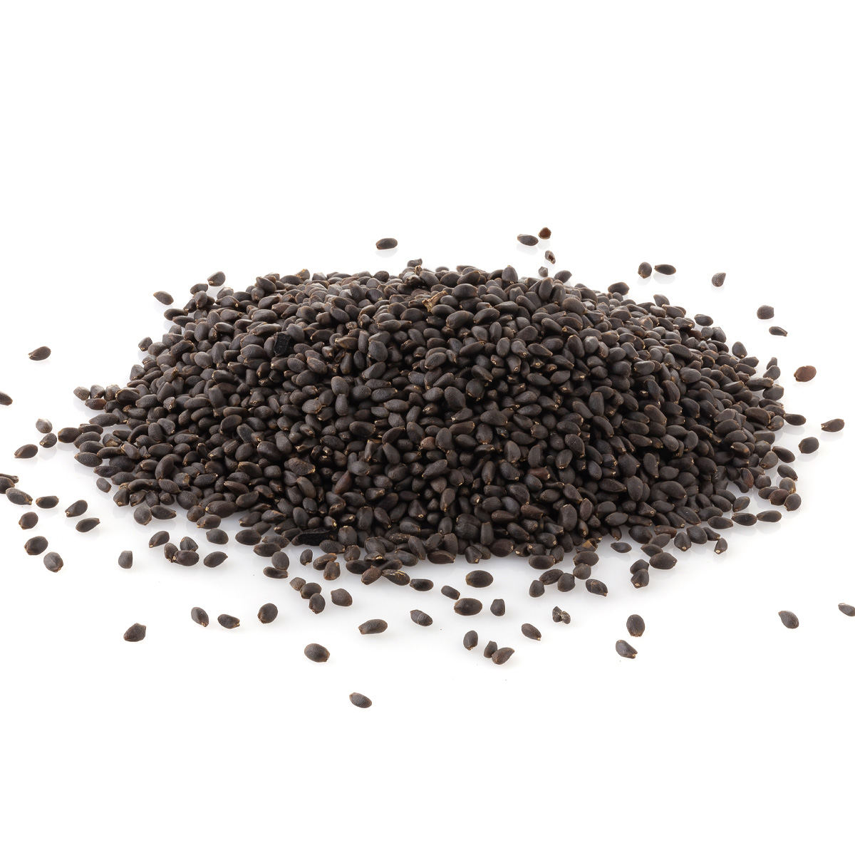 Basil Seeds