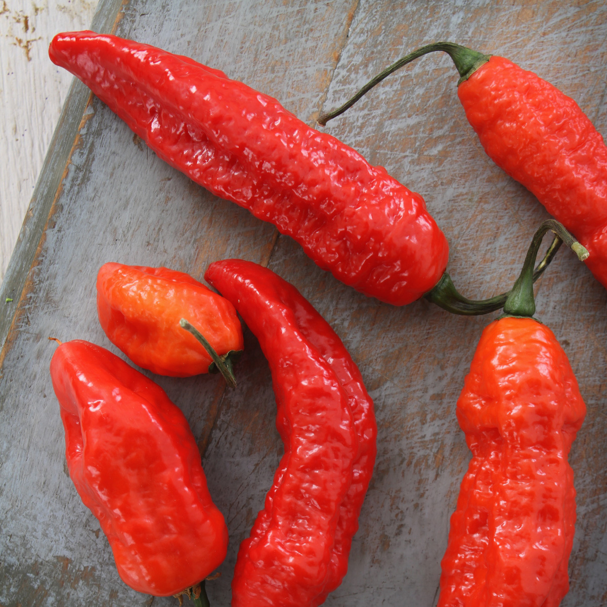 Naked Naga Sauce